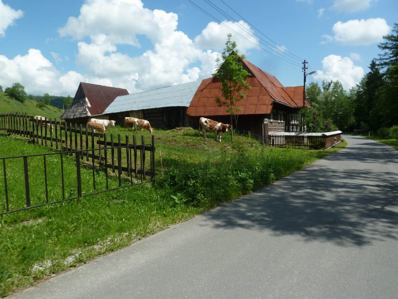 2013